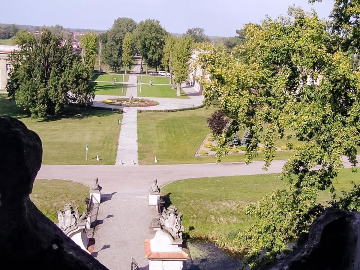 Zamek Krolewski W Rydzynie 3* Rydzyna